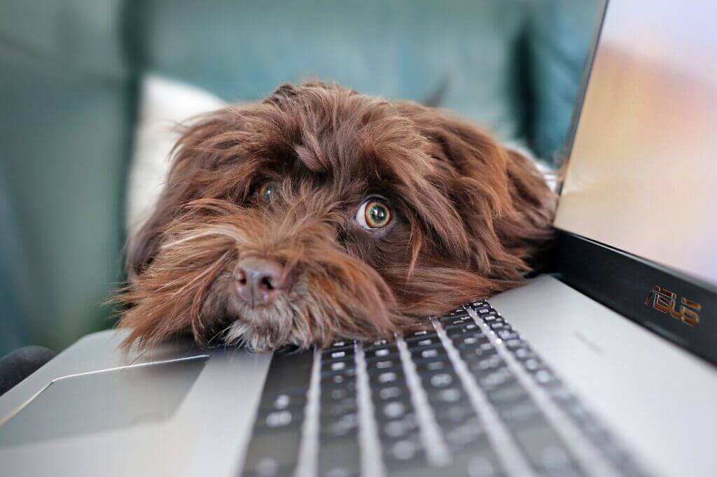job description of a marketing content creator